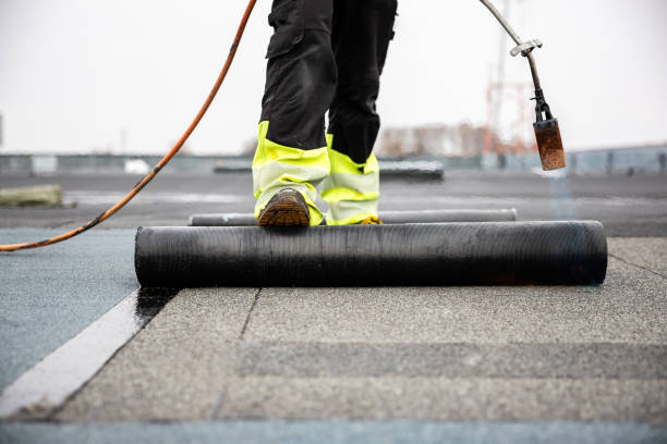 Best Skylight Installation and Repair  in Westchester, IL